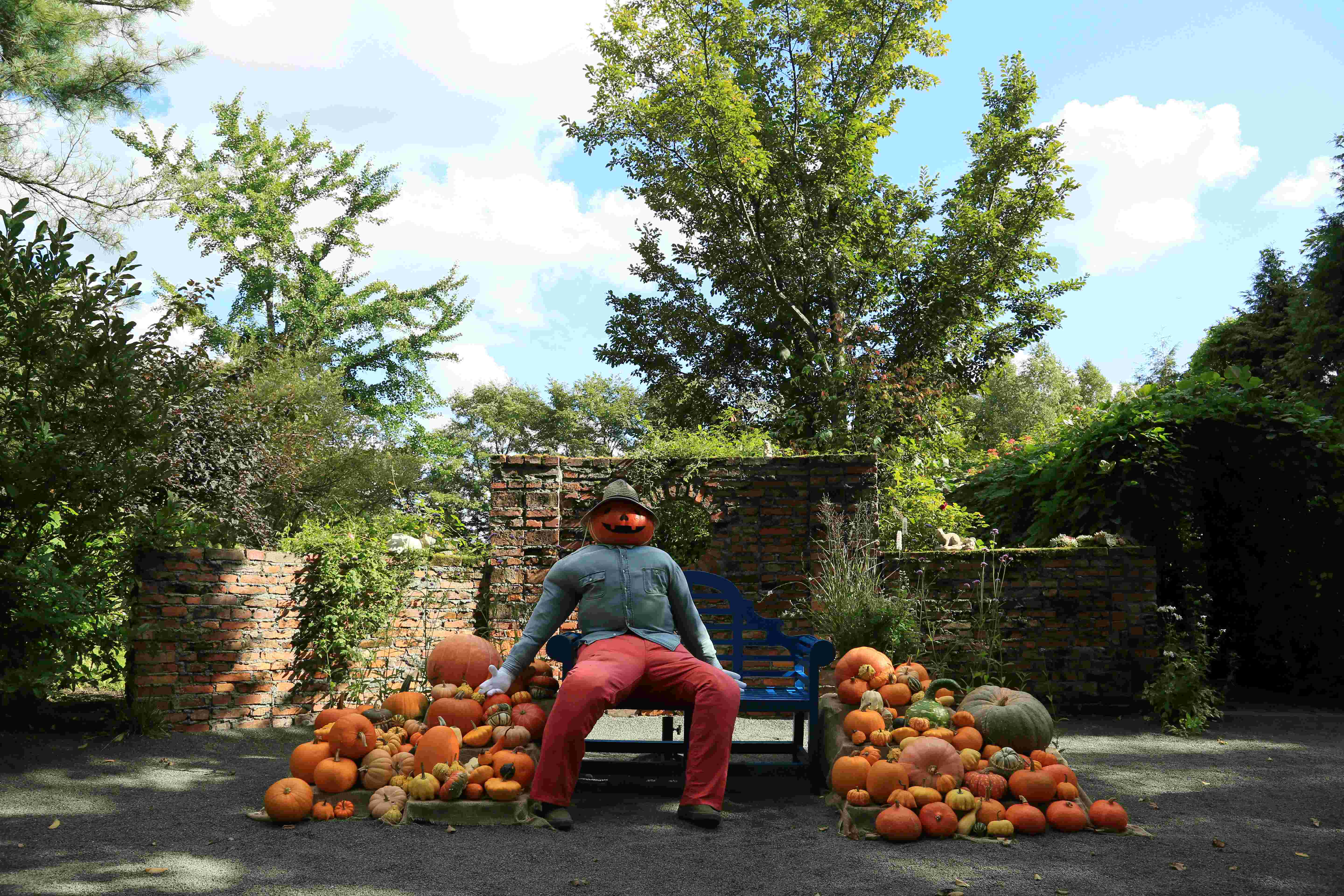 上野农场（北海道花园路）