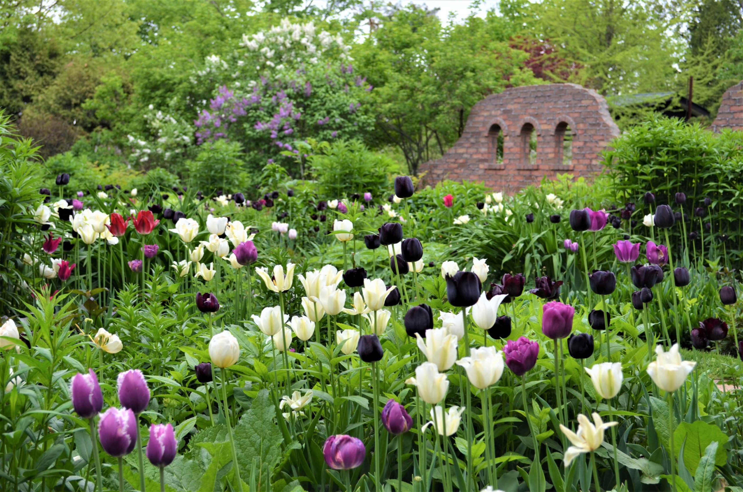 上野农场（北海道花园路）