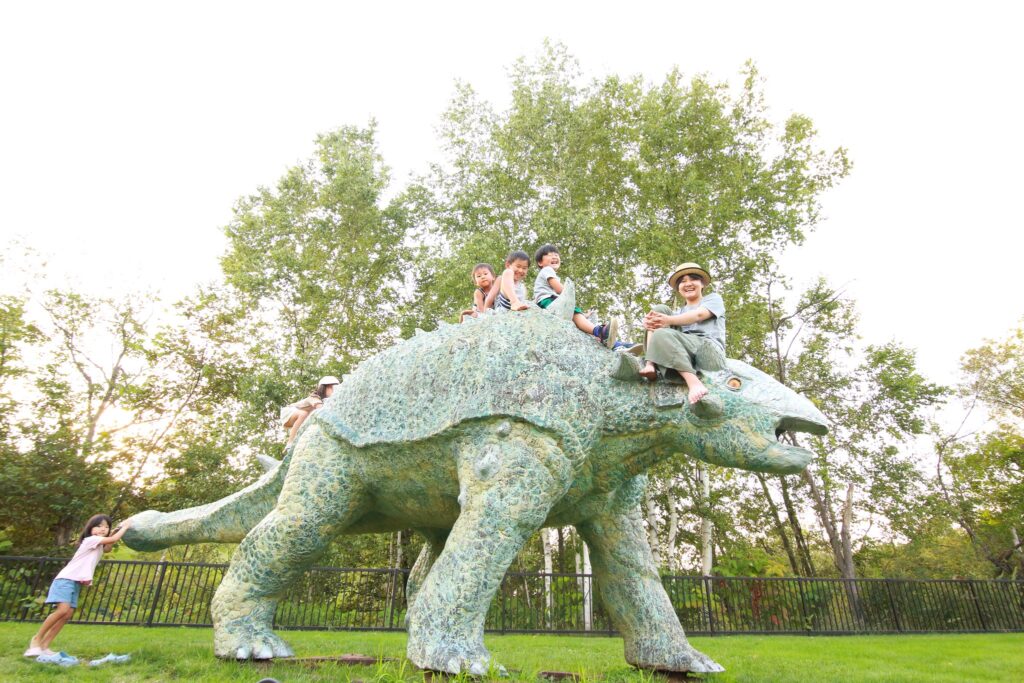 东仓森林公园露营地