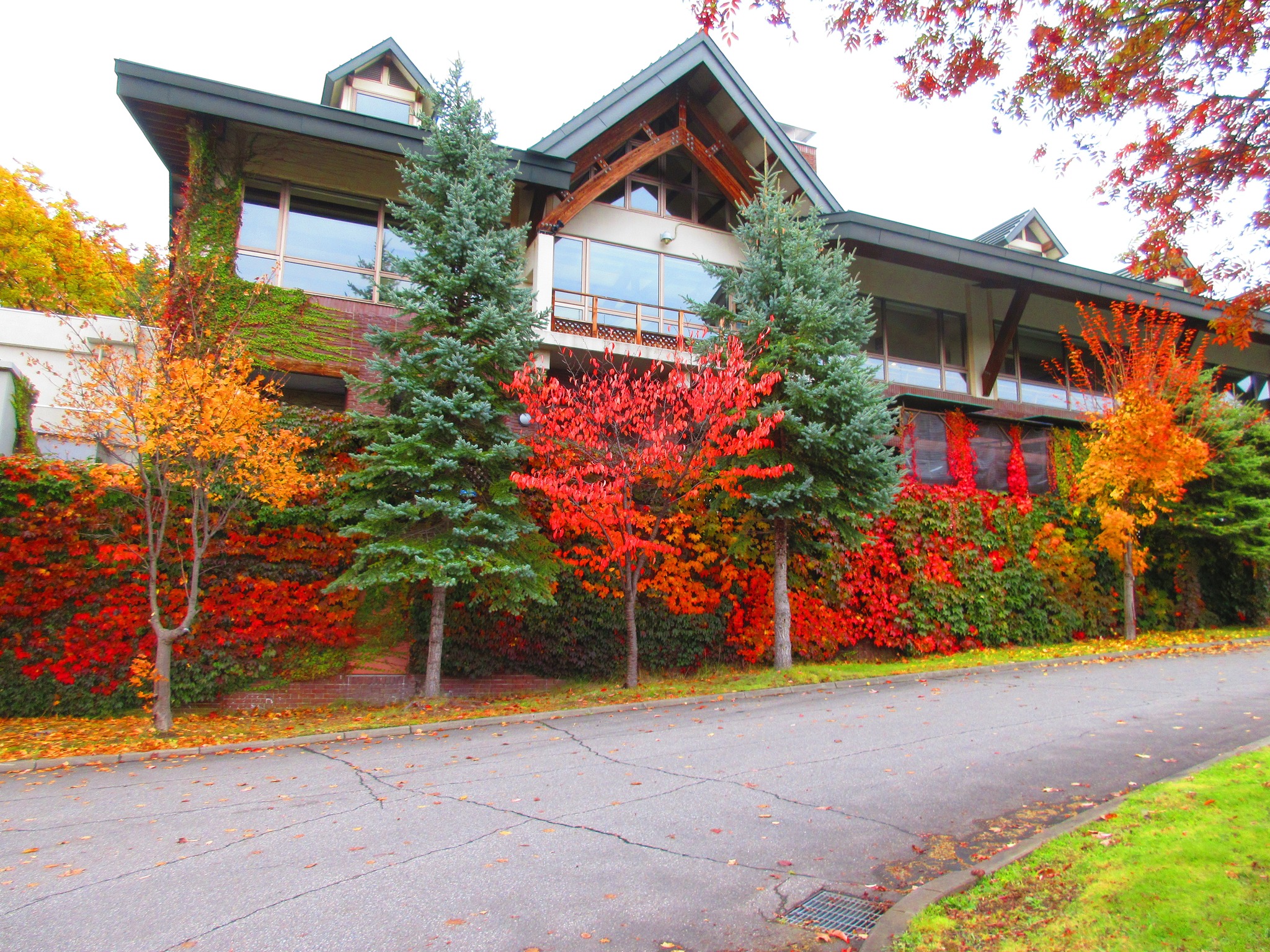 Morinoyu Hotel Hanakagura