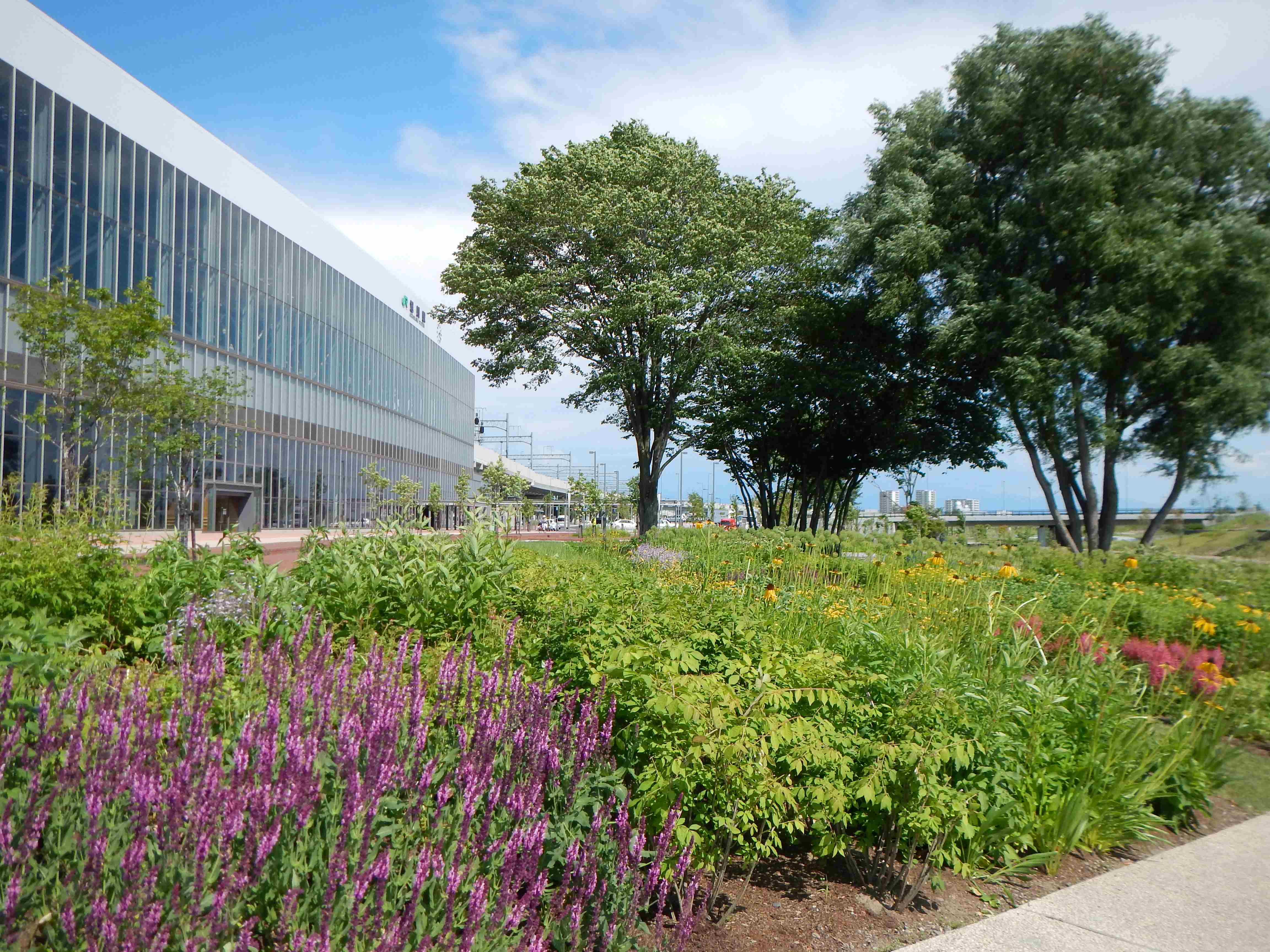 Asahikawa Kitasaito Garden
