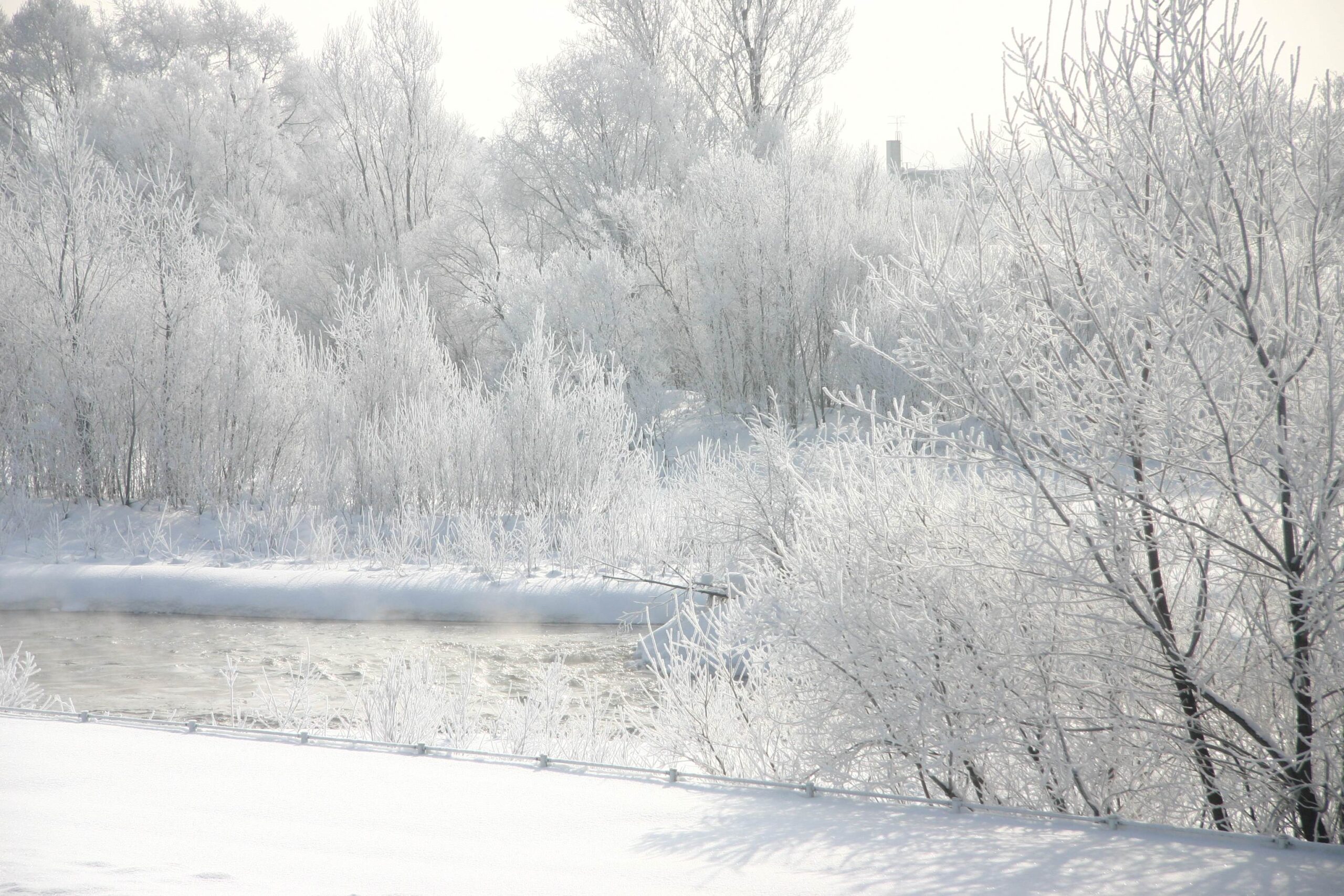 外国樹種見本林