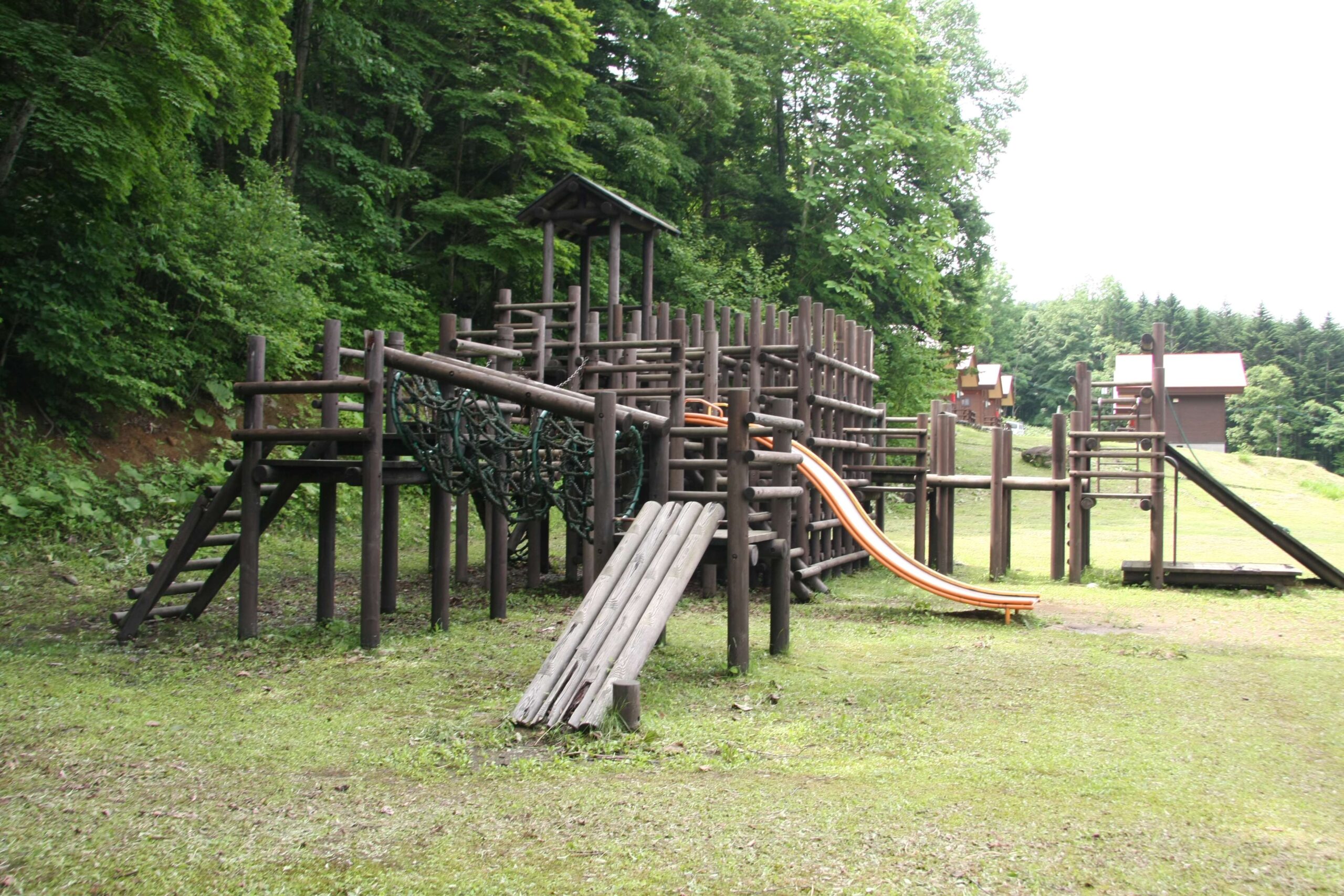 Asahikawa City 21st Century Forest