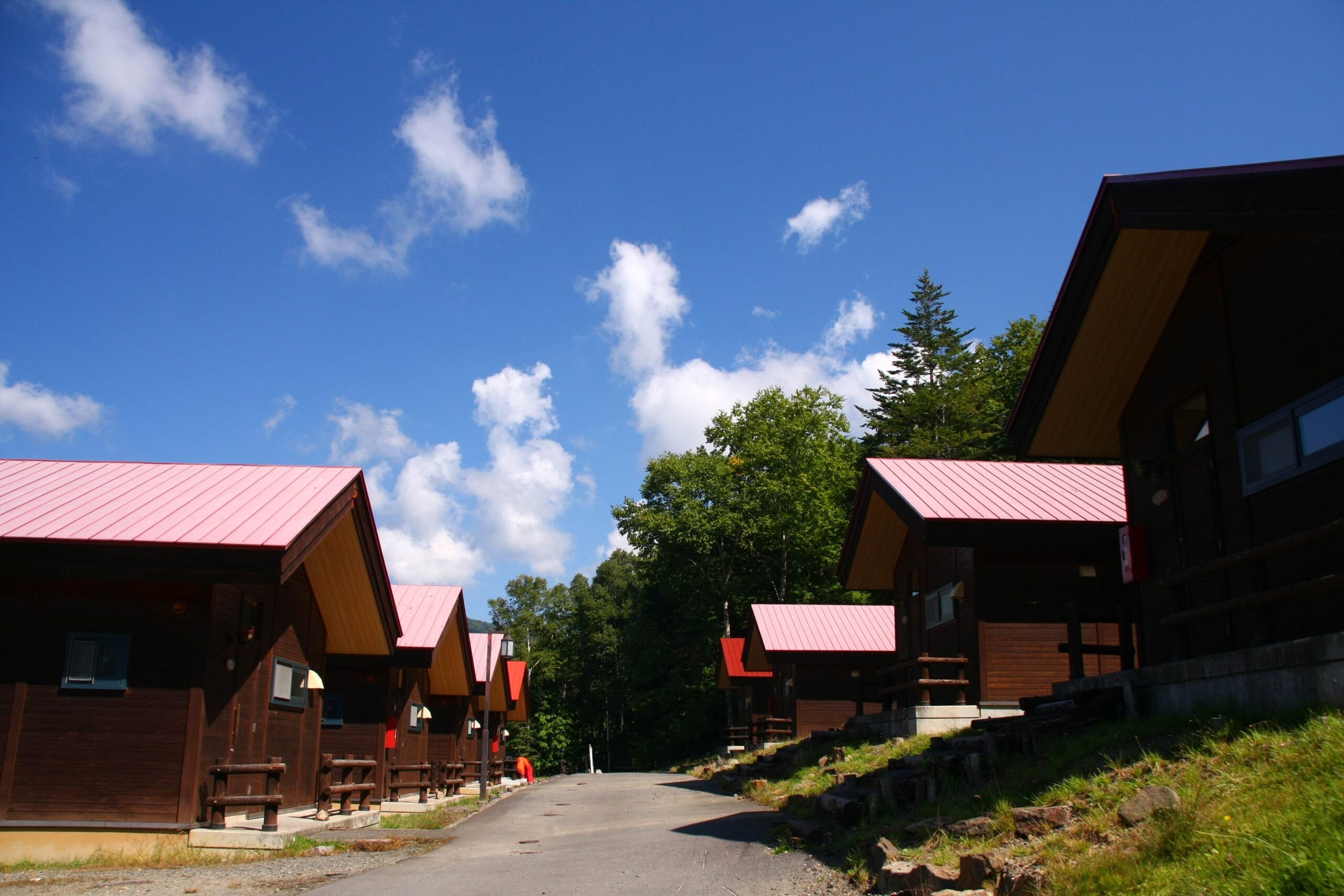 Asahikawa City 21st Century Forest