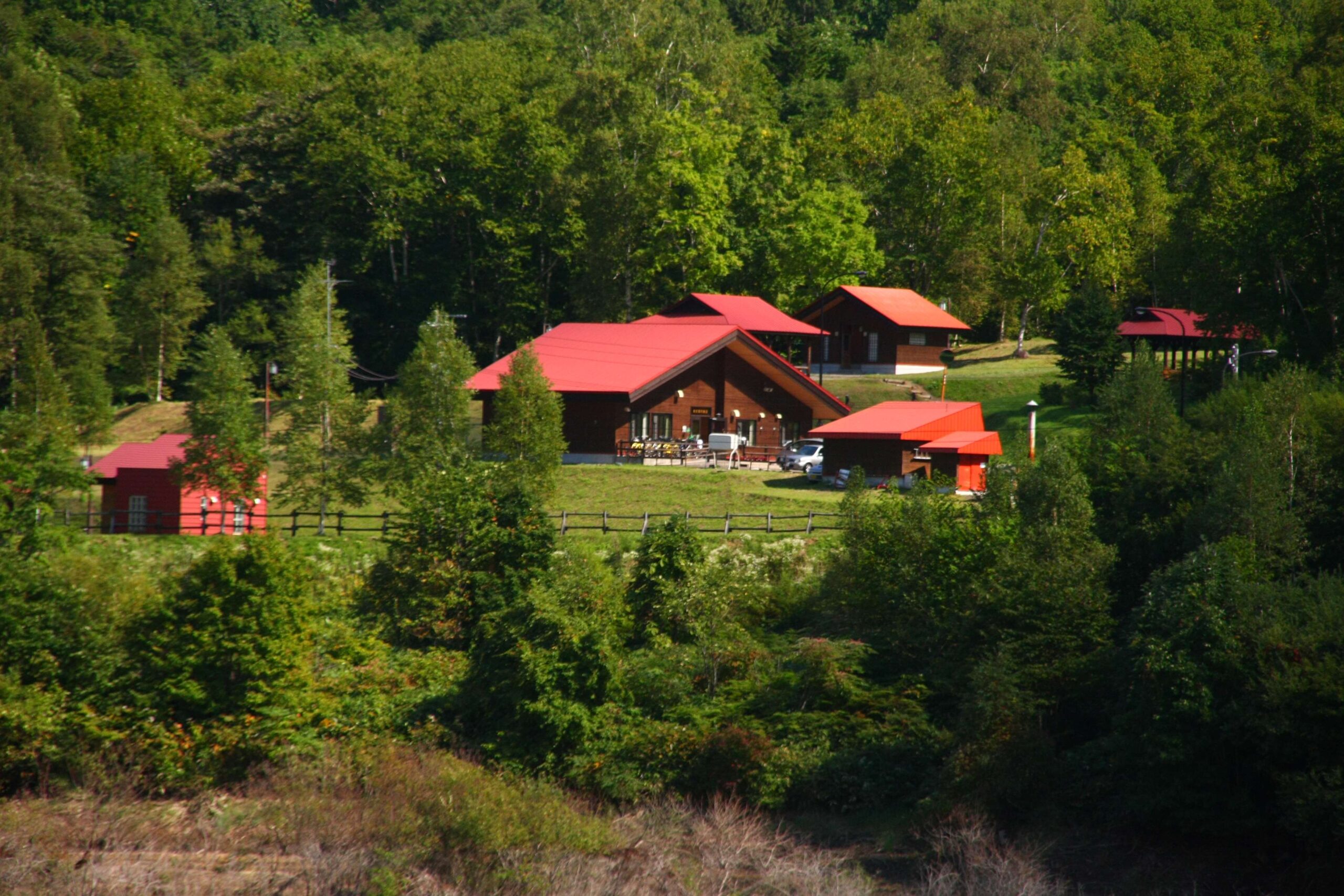 Asahikawa City 21st Century Forest