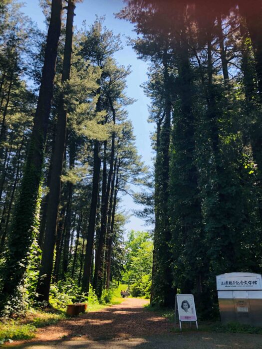 외래 나무 종 샘플 숲