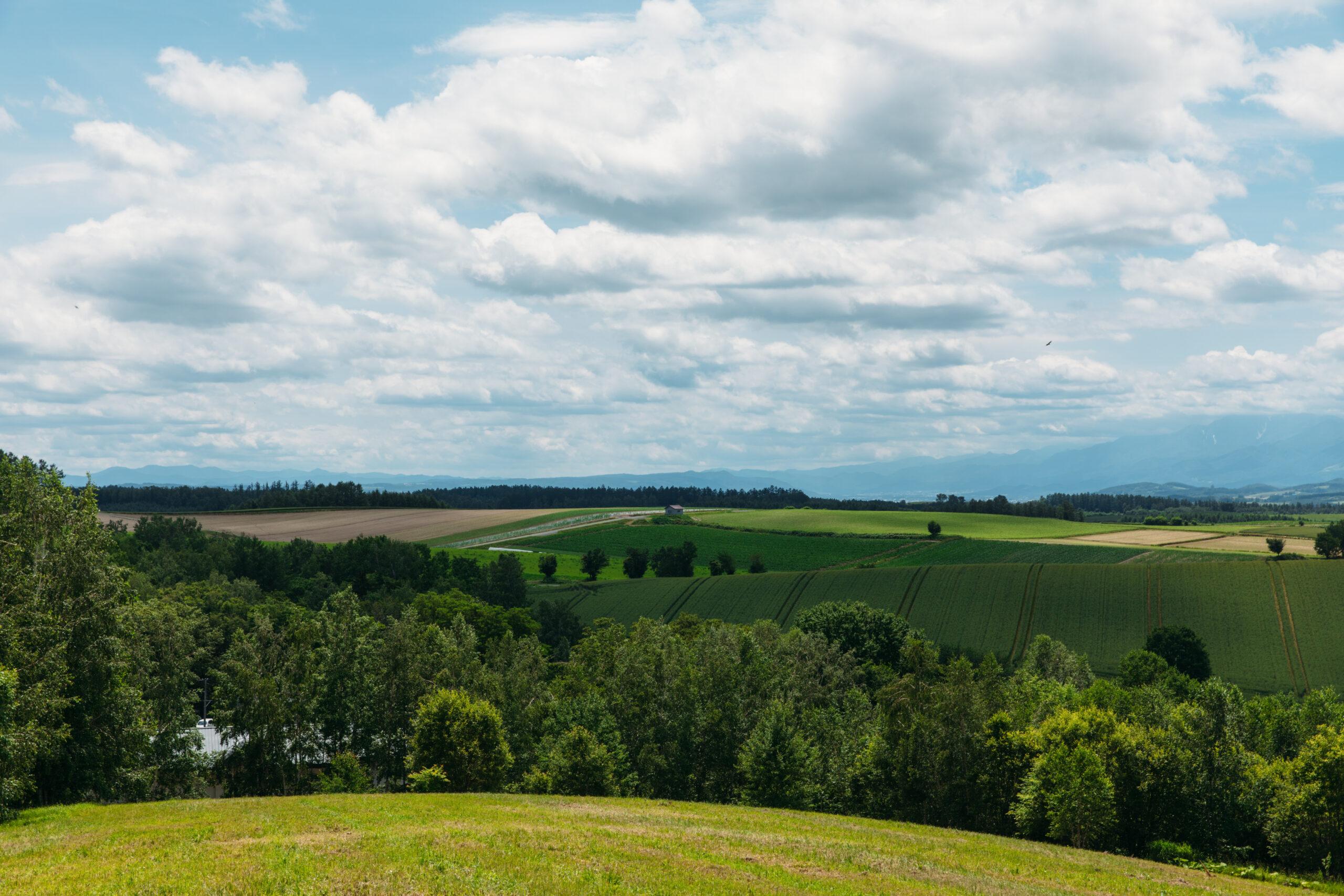 【美瑛町・藍染体験】「藍染結の杜」で、世界に一つのオリジナルTシャツづくり