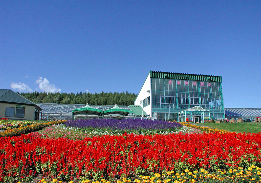 Flower Land Kamifura