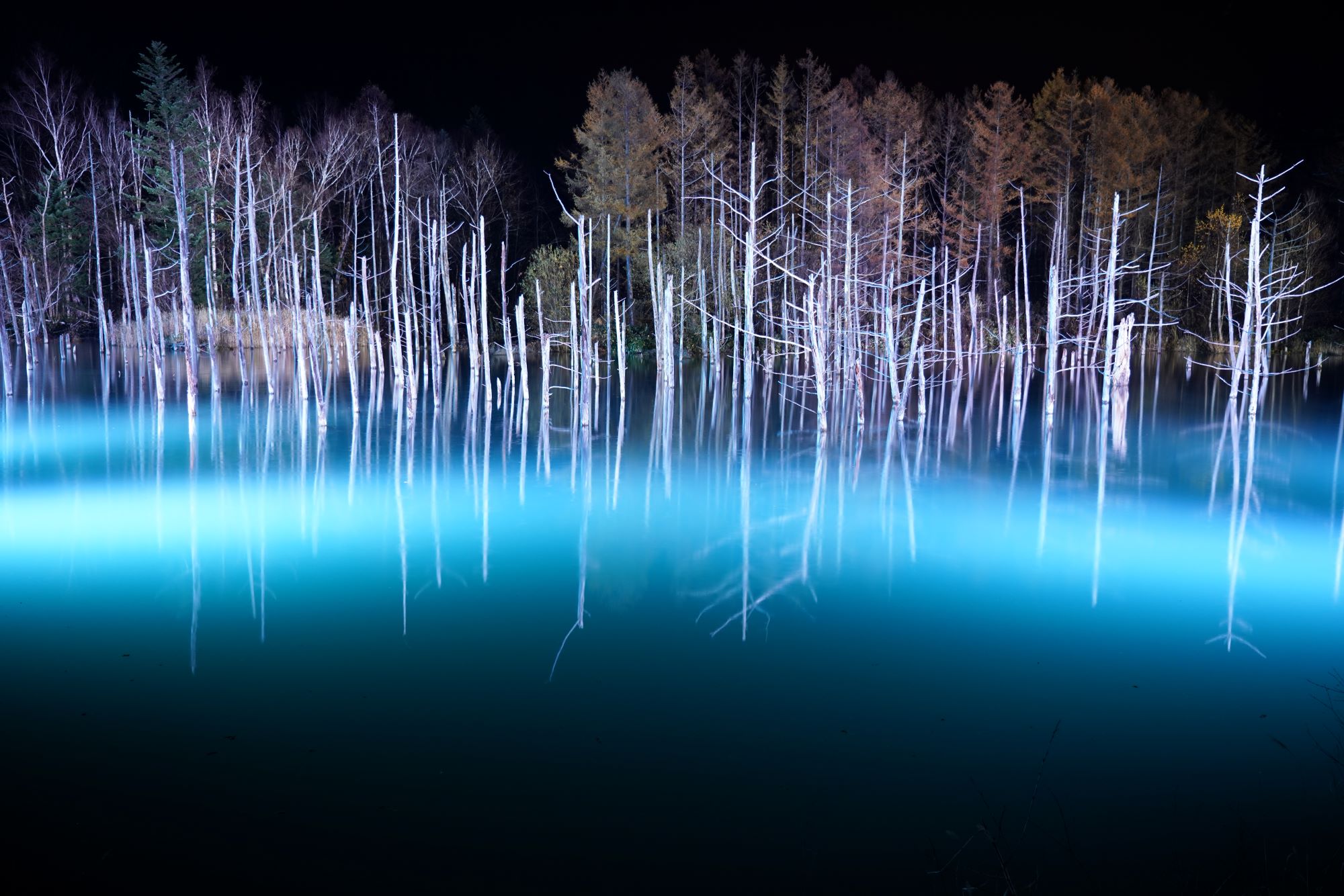 플래티넘 블루 폰드