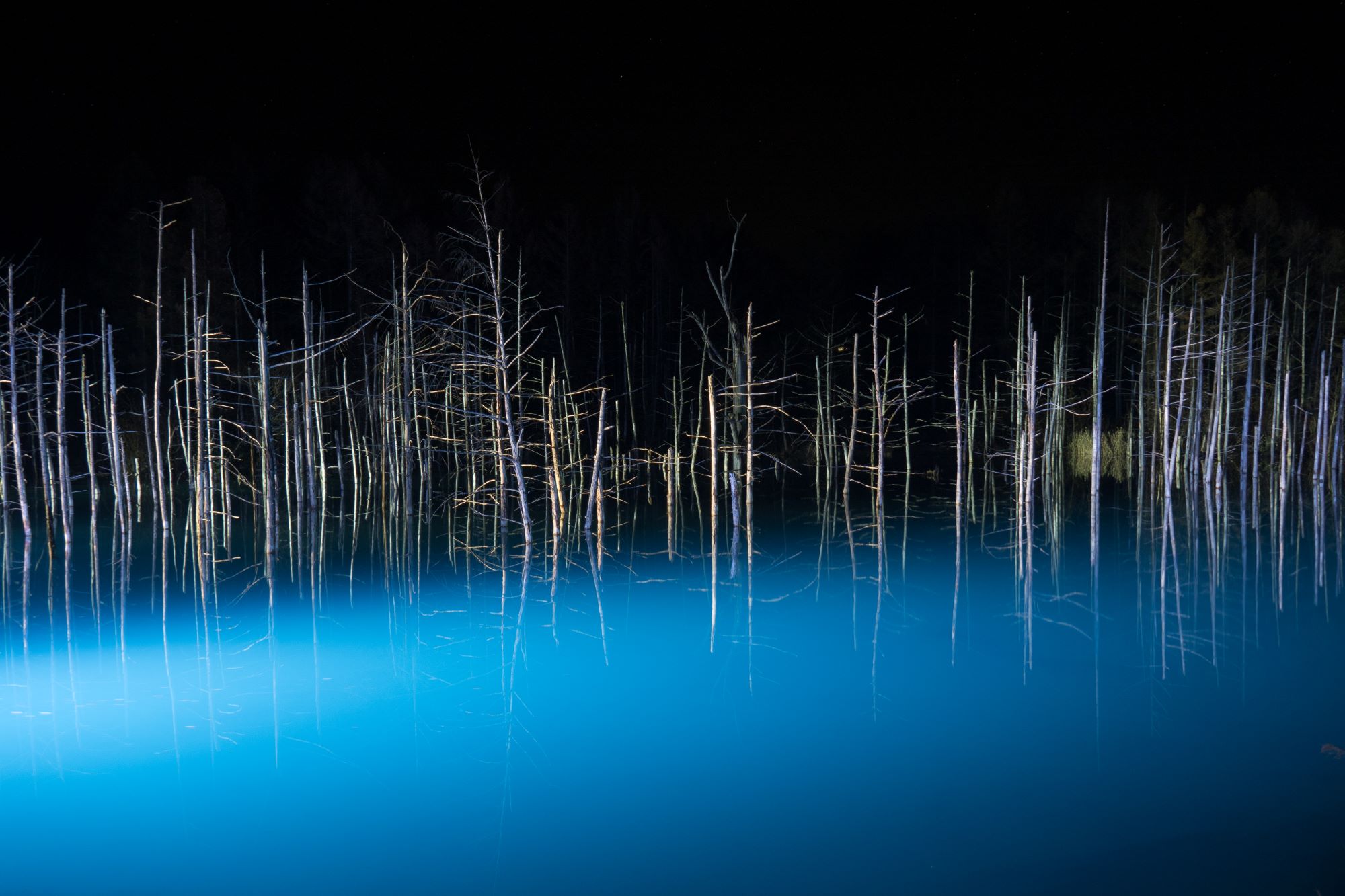 플래티넘 블루 폰드