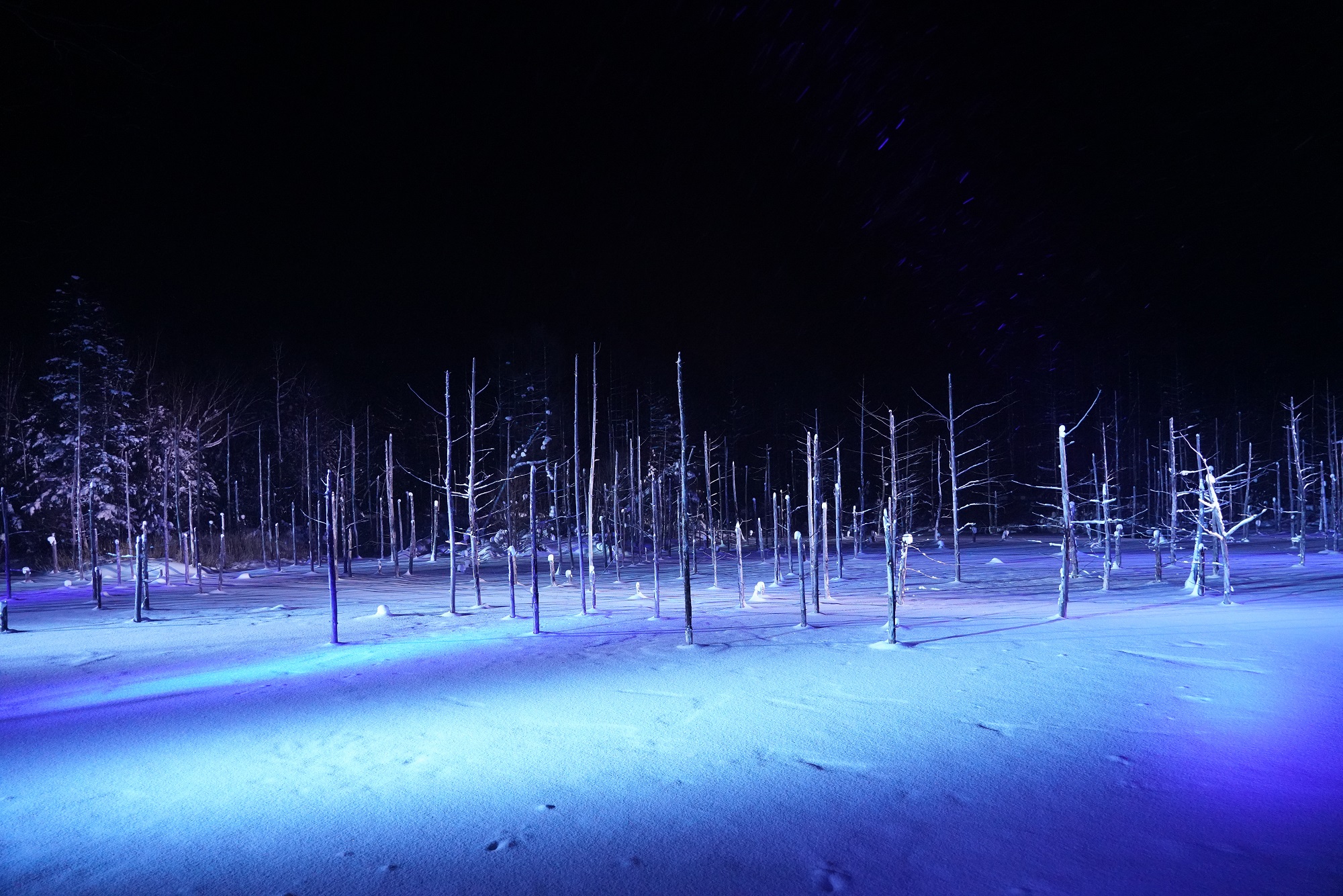 플래티넘 블루 폰드