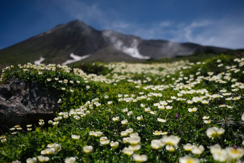 大绝山旭明观景池