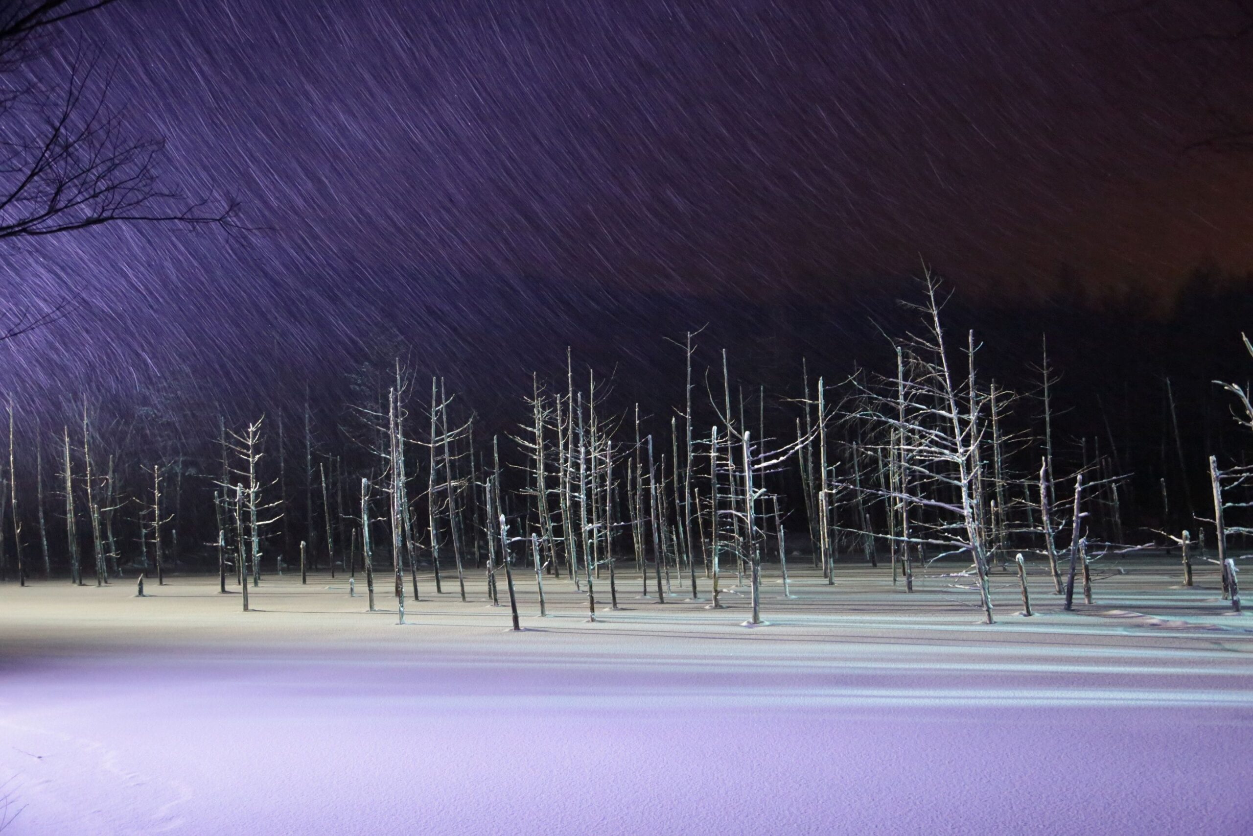 플래티넘 블루 폰드