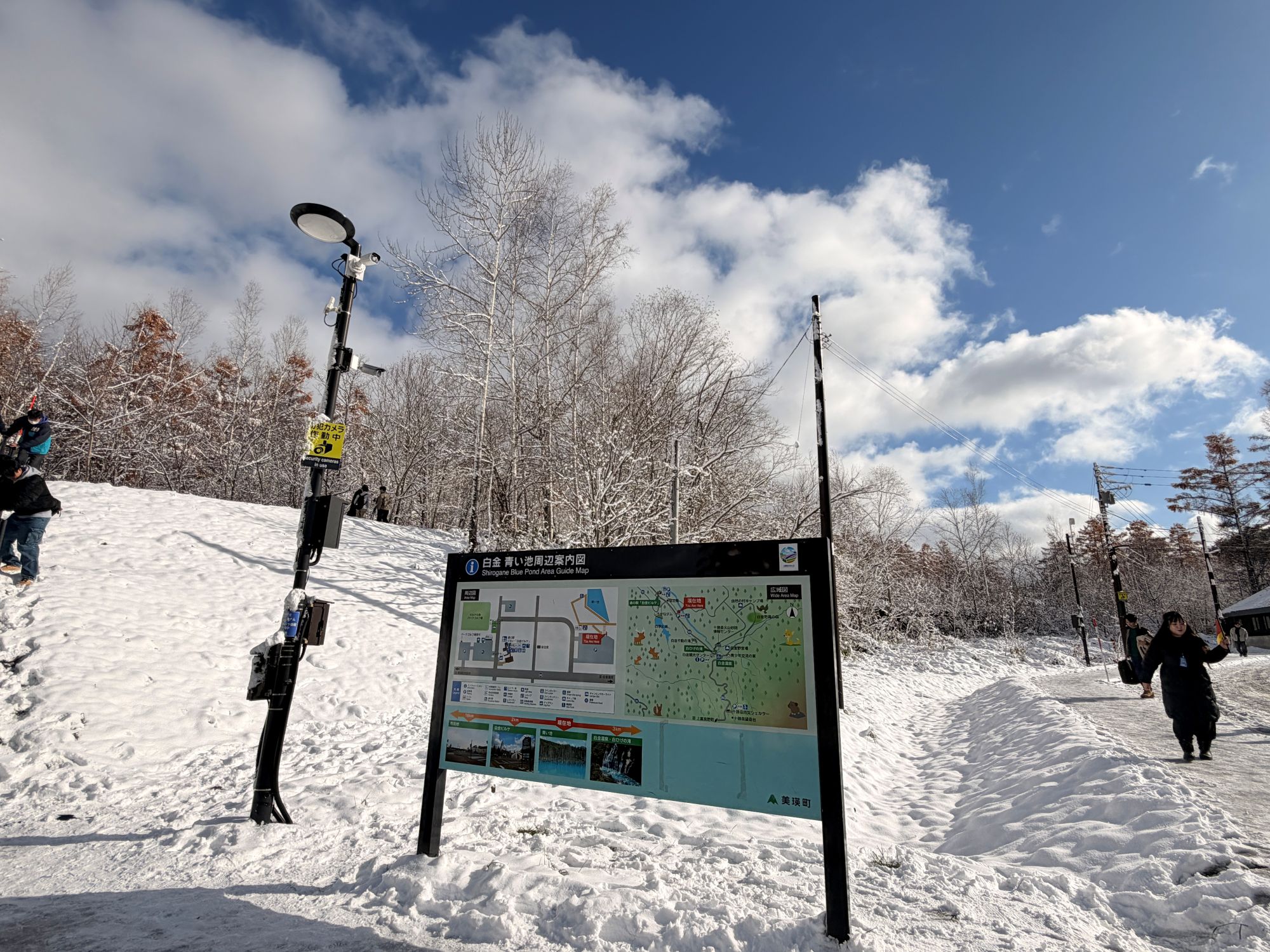 플래티넘 블루 폰드