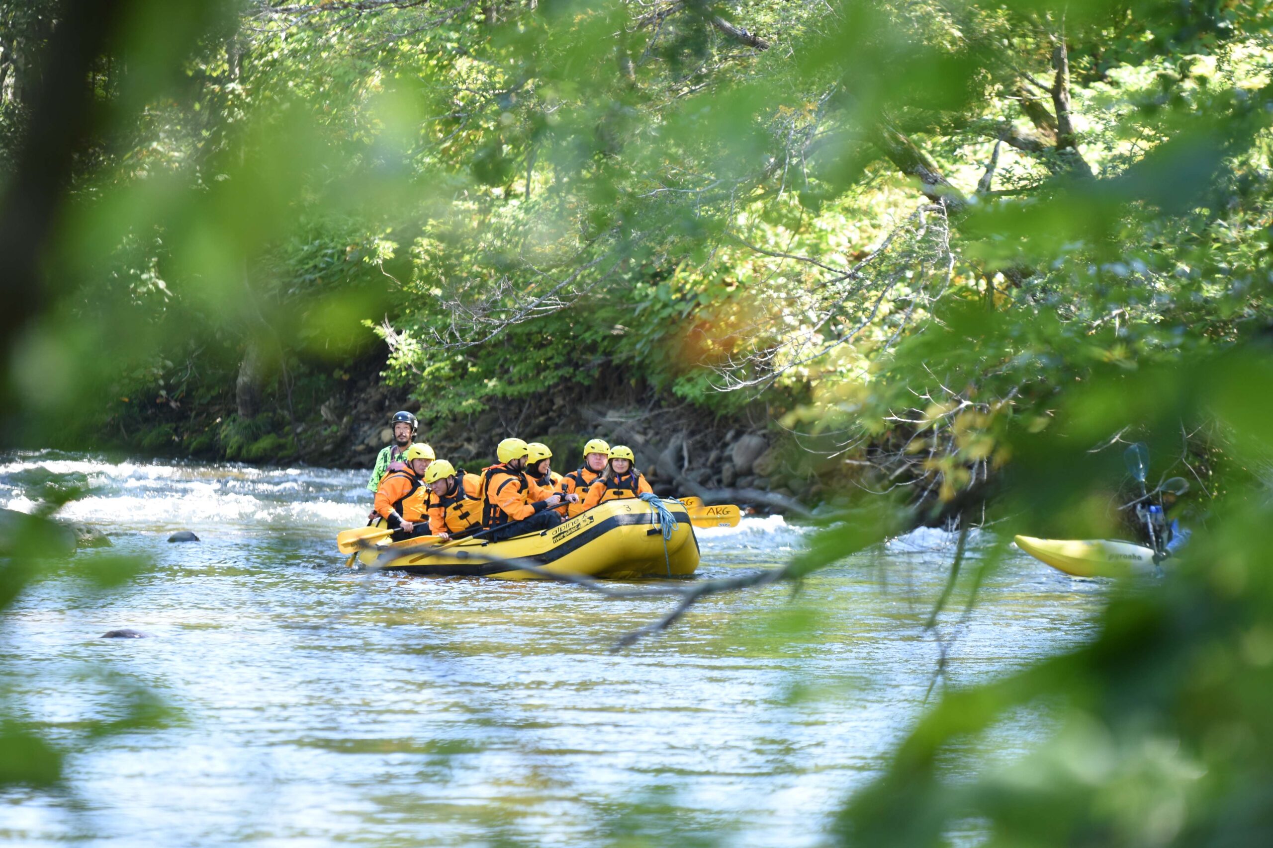 阿尔卑斯河向导