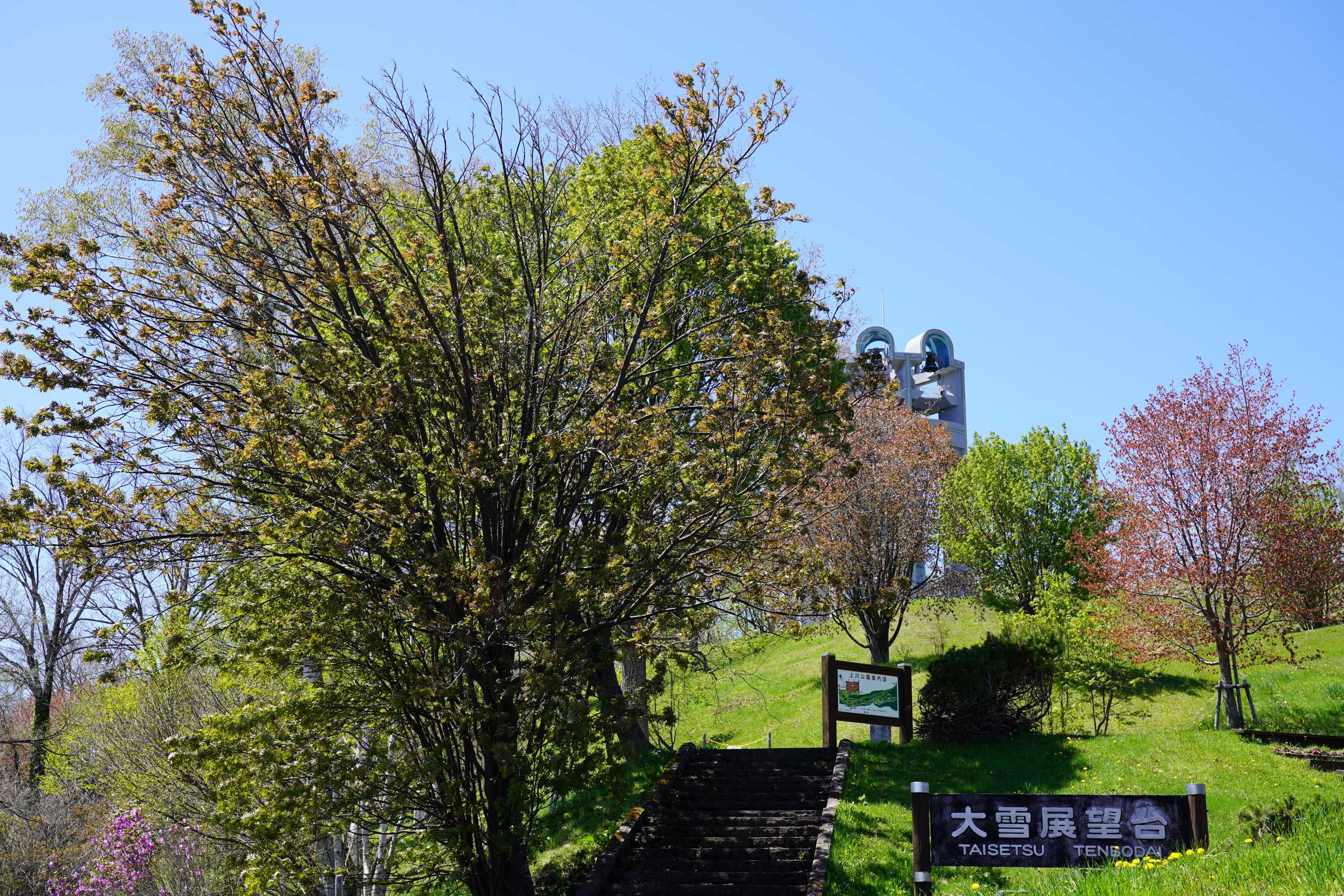 大雪天文台埃斯波尔钟
