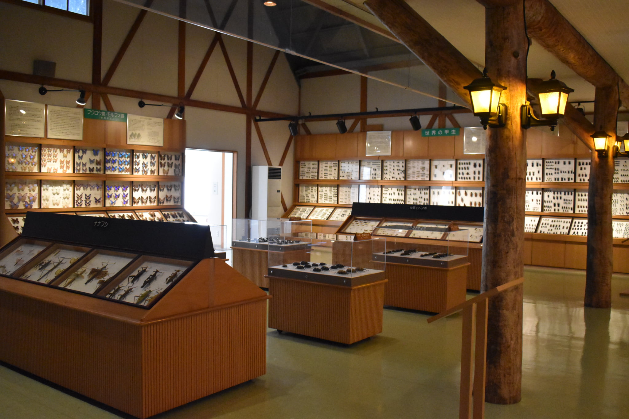 当麻世界の昆虫館 パピヨンシャトー