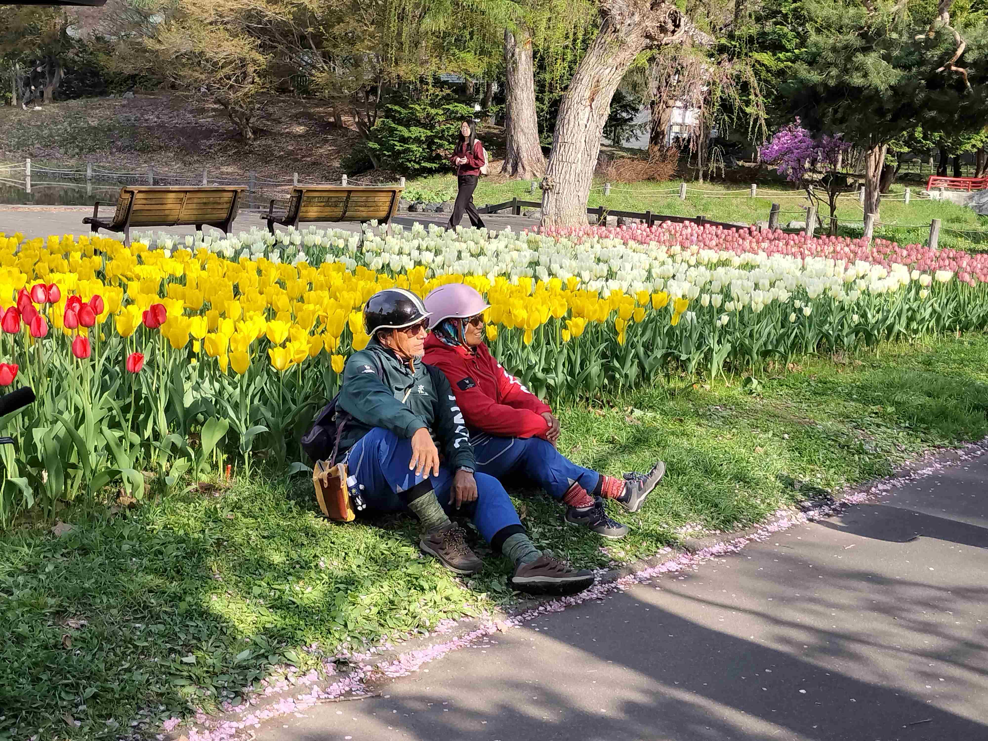 JR旭川駅スタート！短時間で楽しめる桜・お花見サイクリングコース?