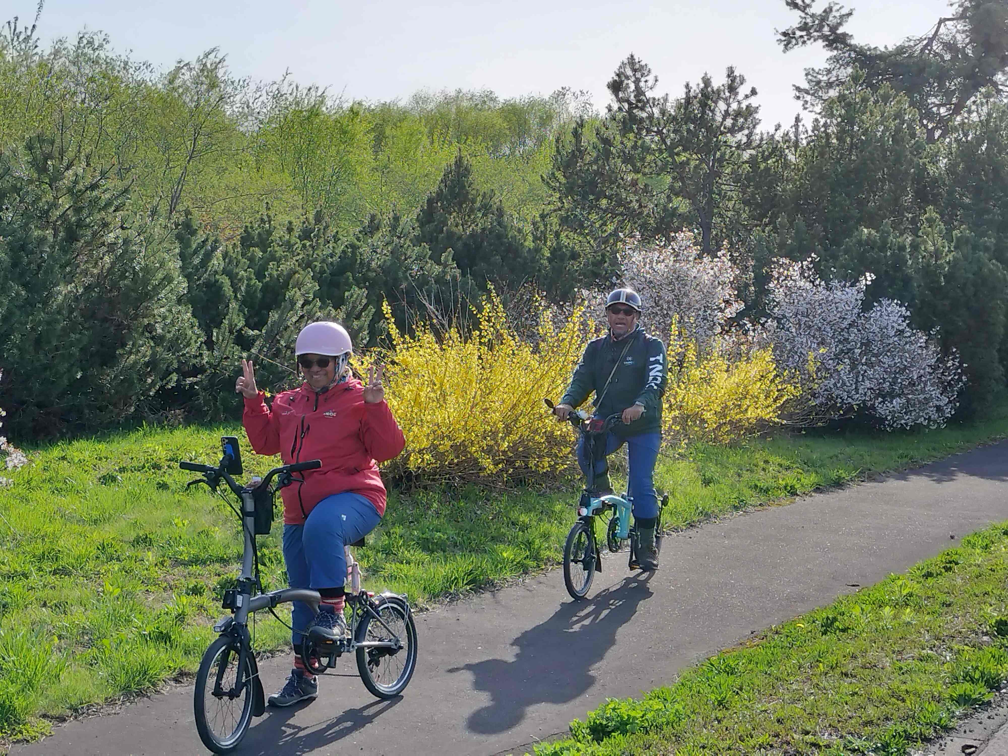 [아사히카와 자전거 타기] JR 아사히카와역에서 벚꽃과 벚꽃 경경 자전거 가이드 투어
