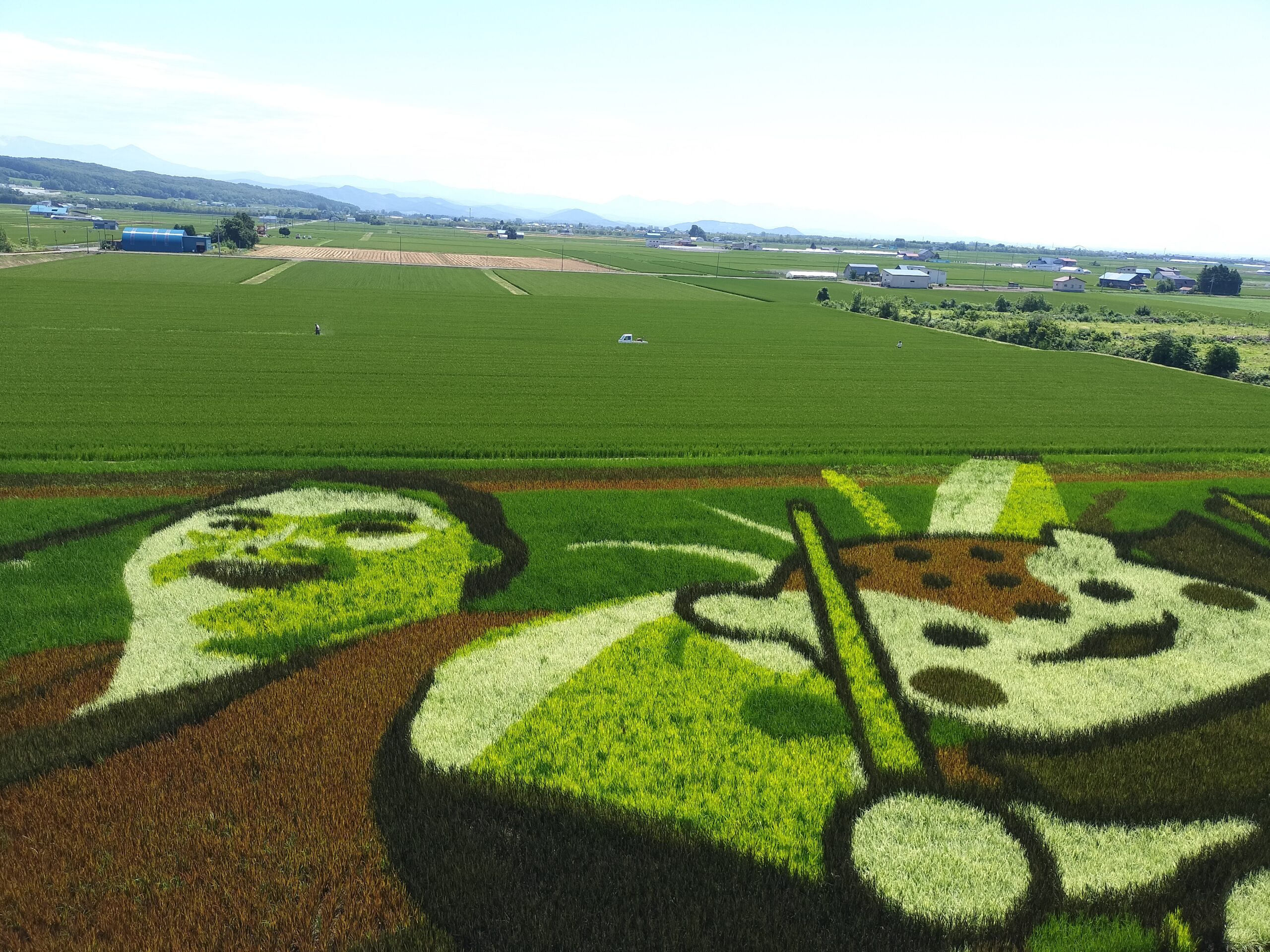 【사이클링】홋카이도 최고의 쌀 명소인 다카스타운과 논밭 ‘Rural Ride’ 자전거 가이드 투어