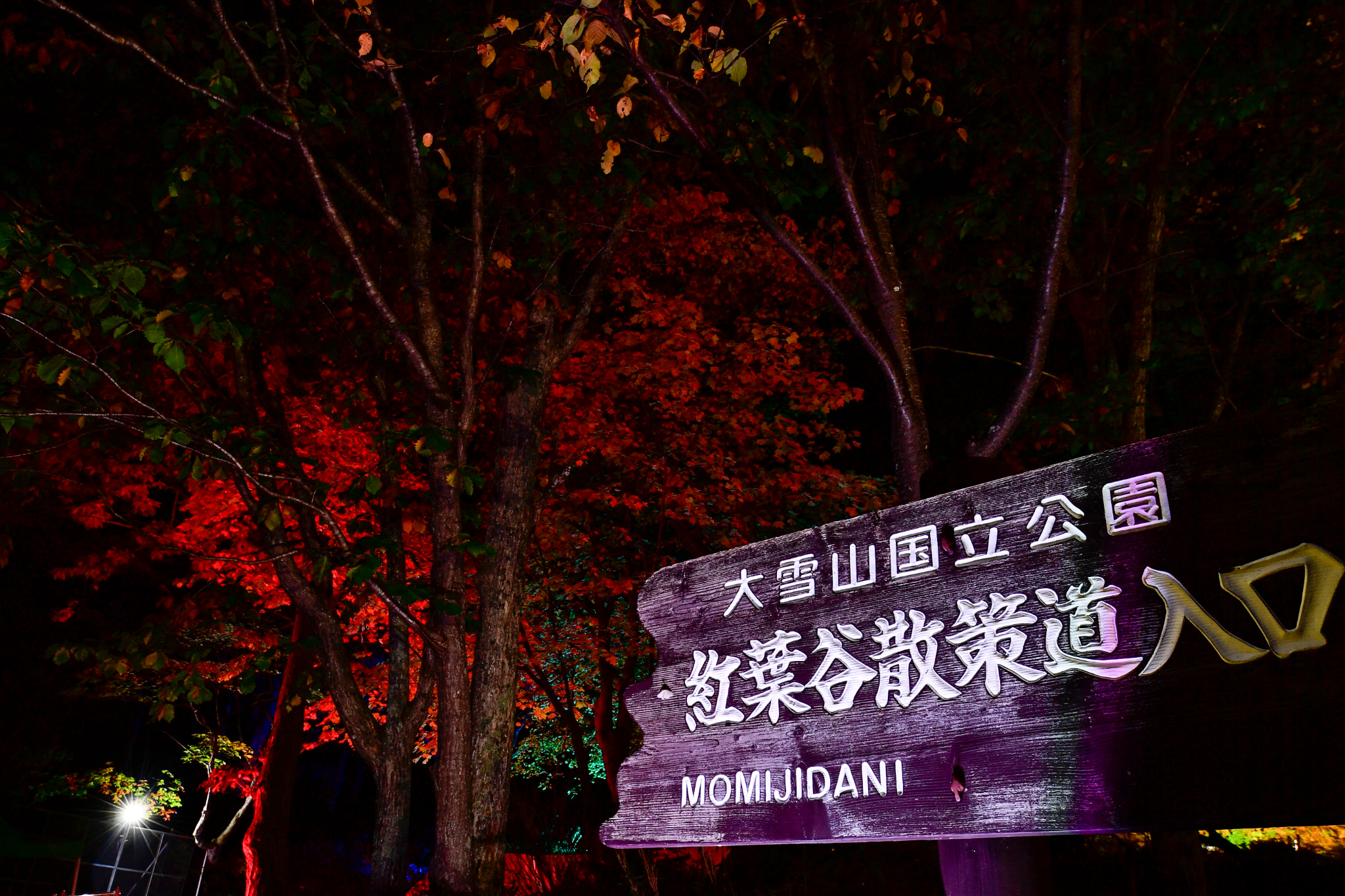 Miracle illumination