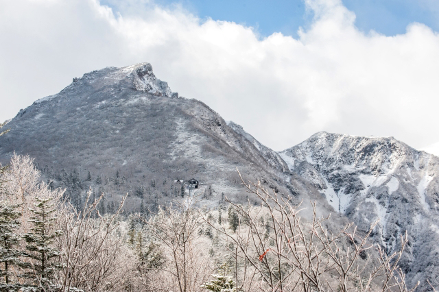 大自然を満喫 冬の層雲峡・黒岳
