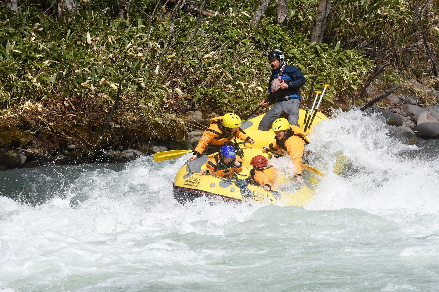 阿尔卑斯河向导
