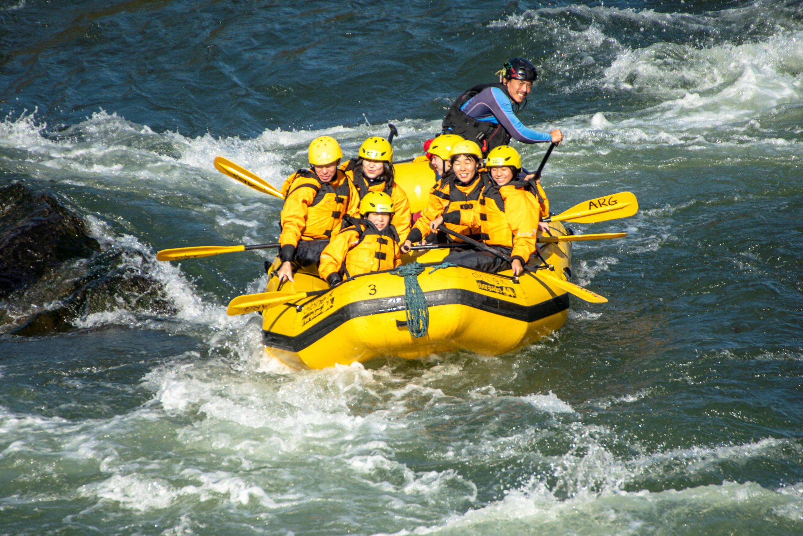 阿尔卑斯河向导