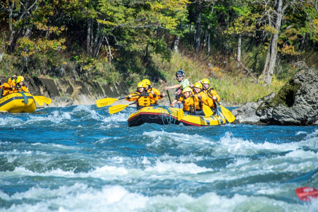 阿尔卑斯河向导